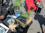 thm_news1_0005784.jpg