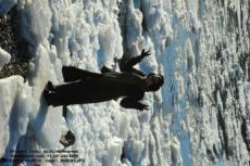 thm_news1_0008391.jpg