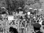 thm_protest0707.jpg
