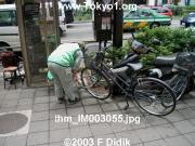 thm_IM003055.jpg