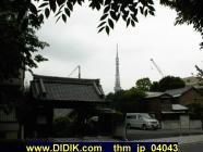 thm_jp_04043.jpg