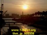 thm_jp_008956.jpg