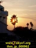 thm_jp_008962.jpg