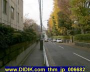 thm_jp_006682.jpg