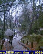 thm_jp_006848.jpg
