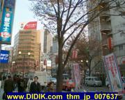 thm_jp_007637.jpg