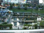 thm_DSC00367.jpg
