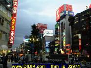 thm_jp_02974.jpg