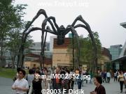 thm_IM002852.jpg