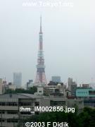 thm_IM002856.jpg