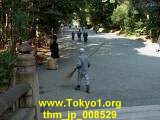 thm_jp_008529.jpg