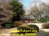 thm_jp_008554.jpg