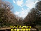 thm_jp_008584.jpg