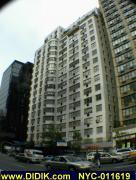 thm_NYC-011619.jpg