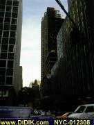 thm_NYC-012308.jpg