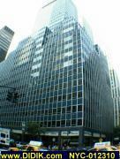 thm_NYC-012310.jpg