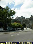 thm_NYC-012368.jpg