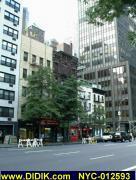 thm_NYC-012593.jpg