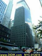 thm_NYC-012610.jpg