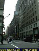 thm_NYC-012808.jpg