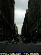 thm_NYC-012809.jpg