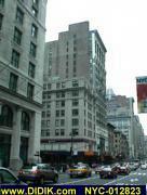 thm_NYC-012823.jpg