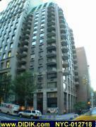 thm_NYC-012718.jpg