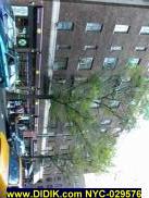 NYC-029576.jpg