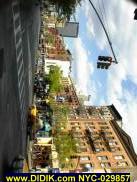 NYC-029857.jpg