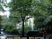 thm_NYC-017143.jpg