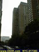 thm_NYC-017383.jpg