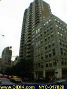 thm_NYC-017820.jpg