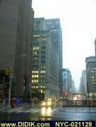 thm_NYC-021129.jpg