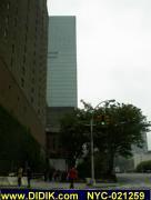 thm_NYC-021259.jpg