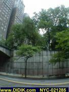 thm_NYC-021285.jpg