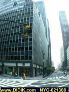 thm_NYC-021308.jpg