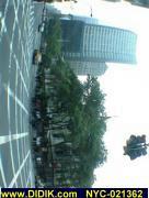 thm_NYC-021362.jpg