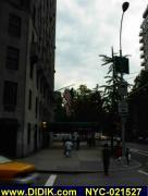 thm_NYC-021527.jpg