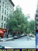 thm_NYC-021607.jpg