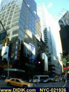 thm_NYC-021926.jpg