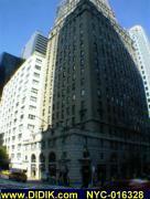 thm_NYC-016328.jpg