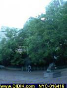 thm_NYC-016416.jpg