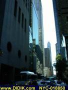 thm_NYC-018850.jpg