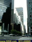 thm_NYC-020509.jpg