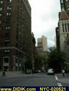 thm_NYC-020521.jpg