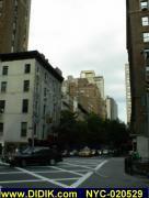 thm_NYC-020529.jpg