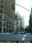 thm_NYC-020560.jpg