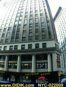 thm_NYC-022009.jpg