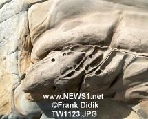 thTW1123.JPG