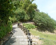 thTW1363.JPG